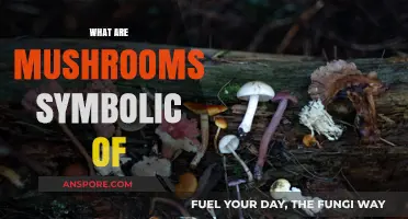 Mushrooms: Nature's Symbolic Gateway to the Unknown