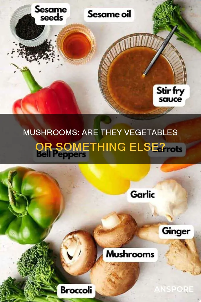 what are mushrooms vegetables