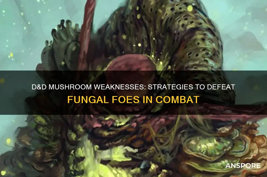what are mushrooms weak to dnd
