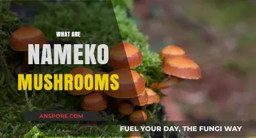 Nameko Mushrooms: A Tasty and Healthy Treat