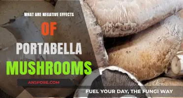 Portabella Mushrooms: Uncovering Potential Health Risks and Side Effects
