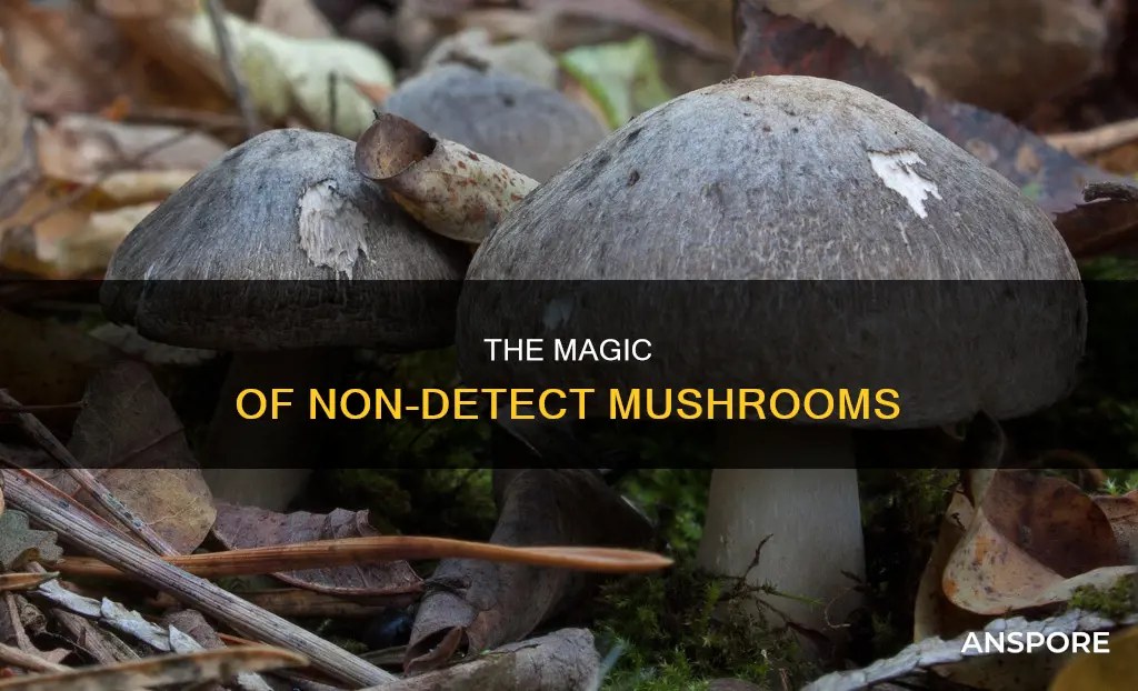 what are non detect mushrooms