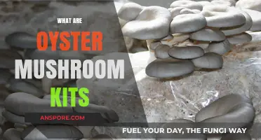 Mushroom Kits: Grow Your Own Oyster Mushrooms