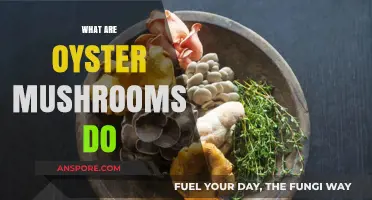 Oyster Mushrooms: Health Benefits and Uses