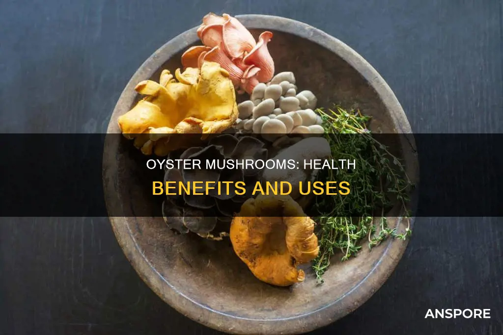 what are oyster mushrooms do