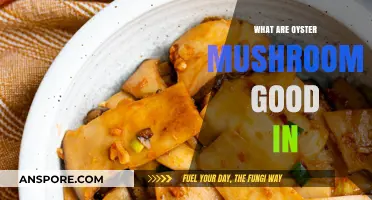 Delicious Oyster Mushroom Recipes: Versatile Uses and Culinary Benefits