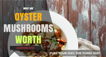 Oyster Mushrooms: A Forager's Gold