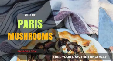 Mushroom Magic: Paris Mushrooms Explained