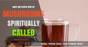 Spiritual Mushroom Users: Exploring the Sacred Practice and Its Practitioners