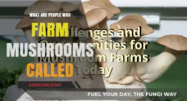 Mushroom Cultivators: The Art and Science of Growing Fungi