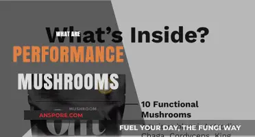 Mushroom Power: Nature's Performance Enhancers