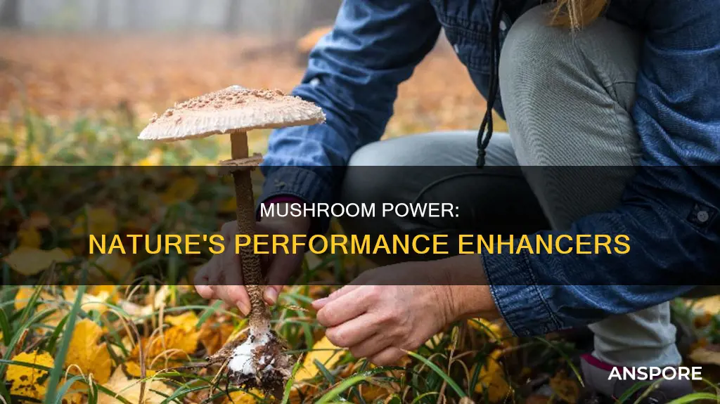 what are performance mushrooms