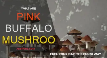 Pink Buffalo Mushrooms: Nature's Magical Treat