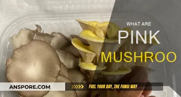 Mushroom Magic: Unveiling the Pink Variety