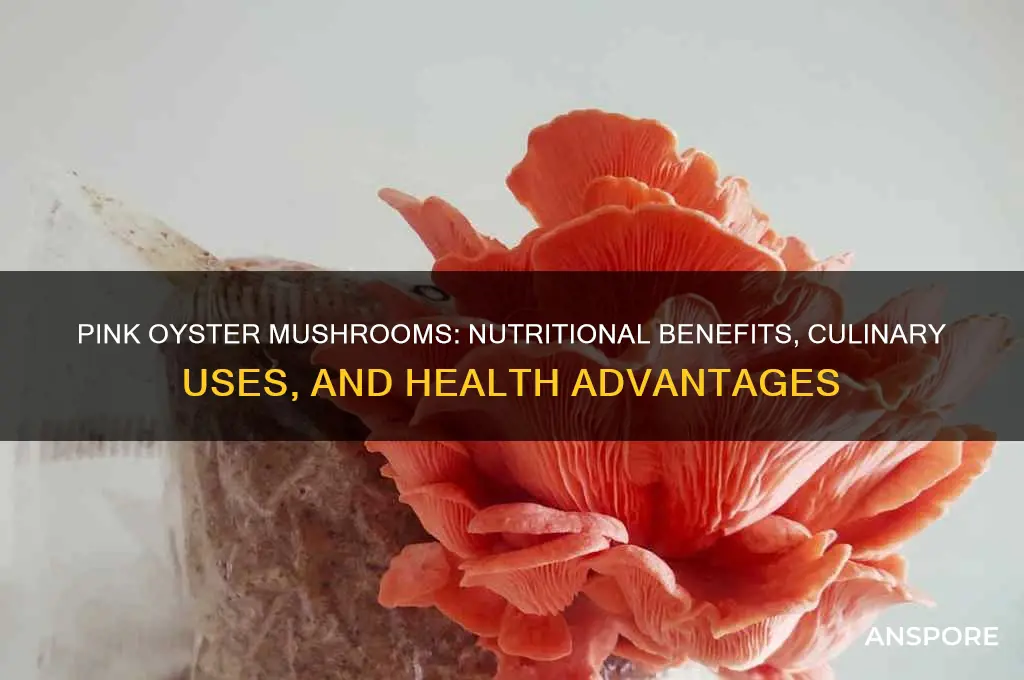 what are pink oyster mushrooms good for