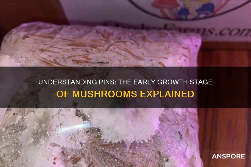 what are pins growing mushrooms