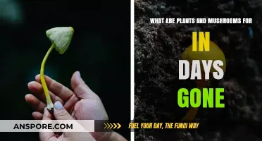 Surviving Days Gone: Plants and Mushrooms' Roles in the Apocalypse