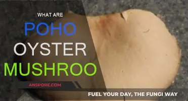 Poho Oyster Mushrooms: A Tasty, Healthy Treat