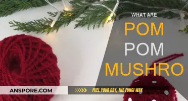 Pom Pom Mushrooms: Nature's Fluffy Delights
