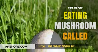 Unveiling Coprophilous Fungi: The Fascinating World of Poop-Eating Mushrooms