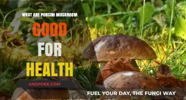 Porcini Mushrooms: Unlocking Health Benefits and Nutritional Powerhouses