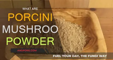 Discover the Magic of Porcini Mushroom Powder