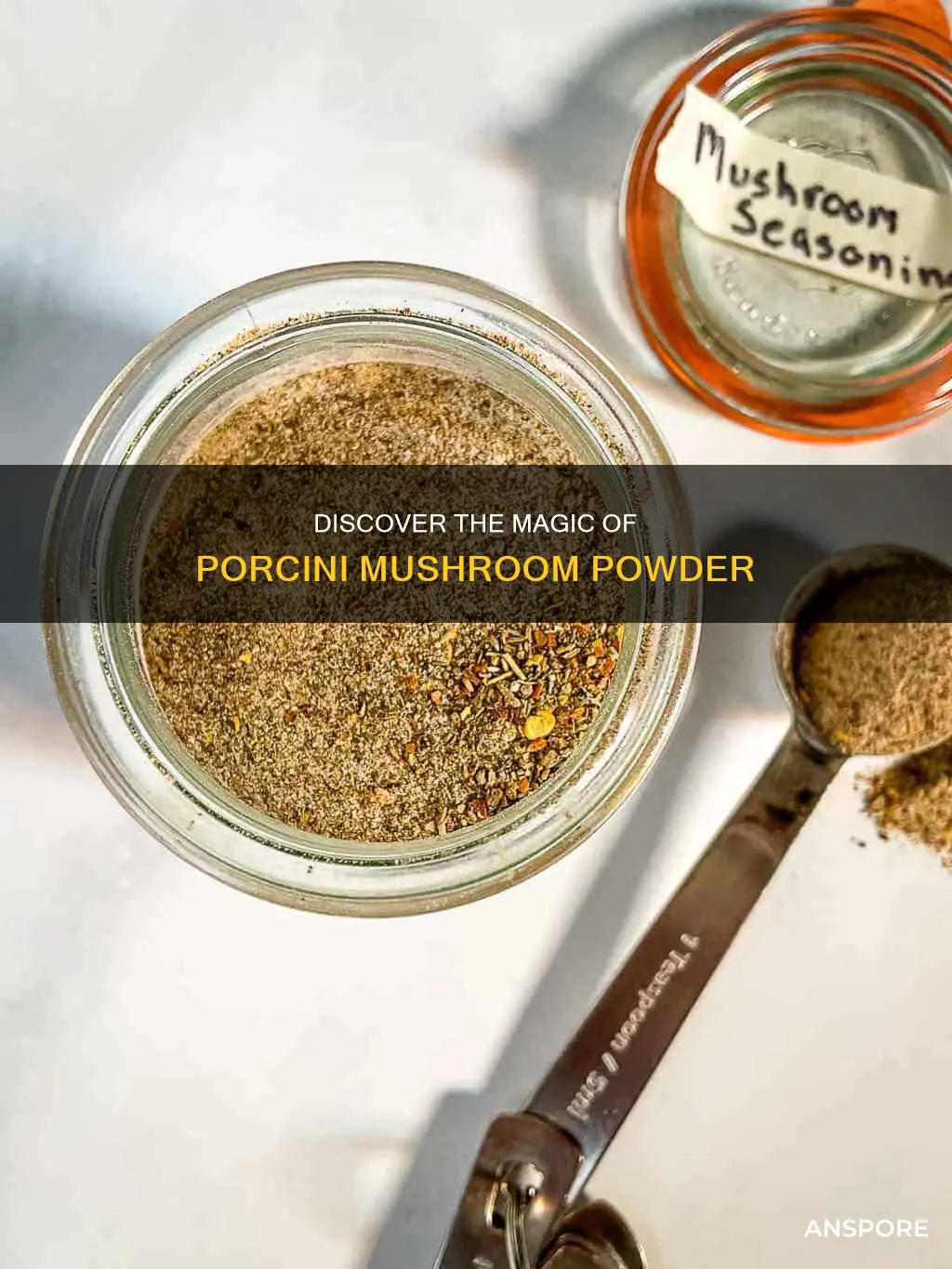 what are porcini mushroom powder