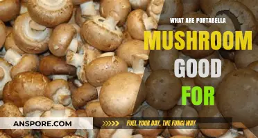 Portabella Mushrooms: Nutritional Benefits, Culinary Uses, and Health Advantages