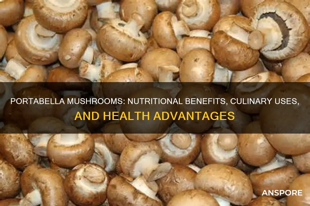 what are portabella mushrooms good for
