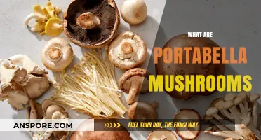 Portabella Mushrooms: What, Where, and How?