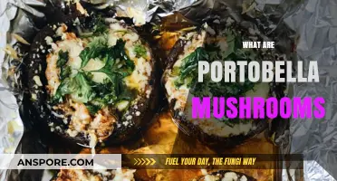 Exploring Portobello Mushrooms: Nutrition, Uses, and Culinary Benefits