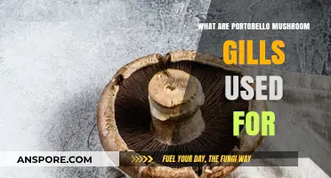 Exploring the Culinary and Medicinal Uses of Portobello Mushroom Gills