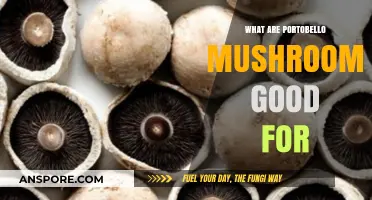 Portobello Mushrooms: Health Benefits, Culinary Uses, and Nutritional Value