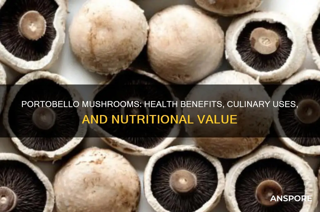 what are portobello mushrooms good for