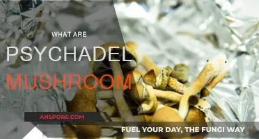 Exploring the Intriguing World of Psychedelic Mushrooms