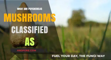 Understanding Psychedelic Mushrooms: Classification, Effects, and Legal Status Explained