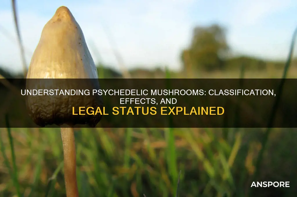 what are psychedelic mushrooms classified as