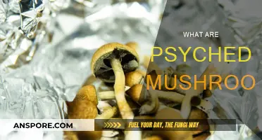 Psychedelics: Magic Mushrooms and Their Mystical Powers