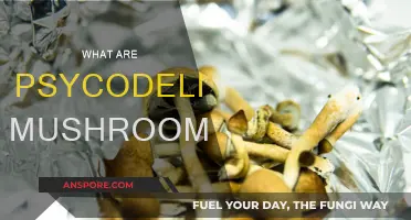 Psychedelic Mushrooms: Nature's Mind-Altering Fungi