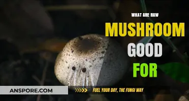 Raw Mushrooms: Unlocking Nutritional Benefits and Culinary Potential