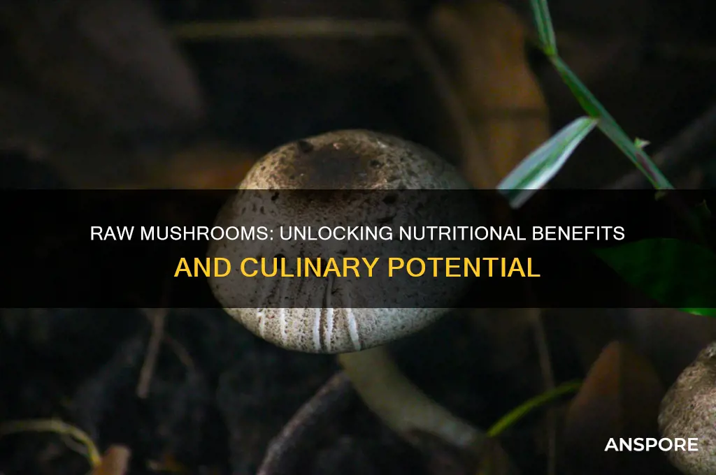 what are raw mushrooms good for
