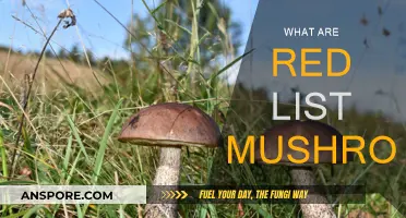 Red List Mushrooms: Nature's Rarest Fungi
