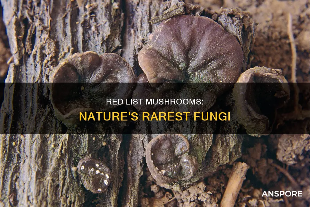 what are red list mushroom
