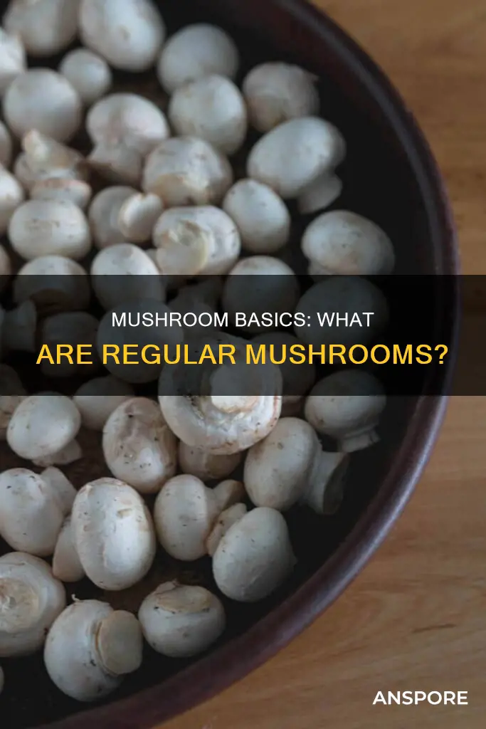 what are regular mushrooms called