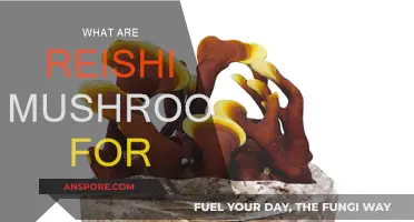 Reishi Mushrooms: Ancient Medicine for Modern Times