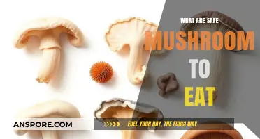 Safe Mushrooms to Eat: A Beginner's Guide to Edible Varieties