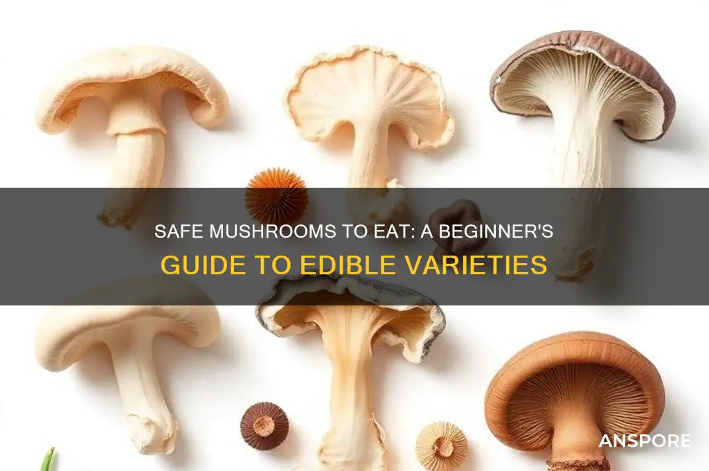 what are safe mushrooms to eat