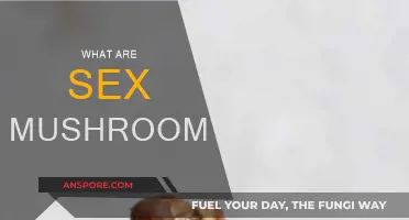 Magic Mushrooms: Sex and Psychedelics