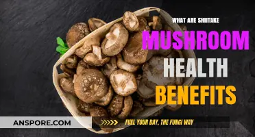 Shiitake Mushrooms: Unlocking Powerful Health Benefits for Wellness