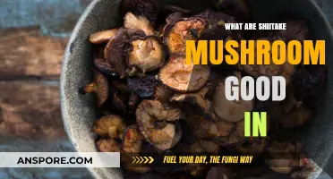 Shiitake Mushrooms: Versatile Culinary Uses and Health Benefits Explored